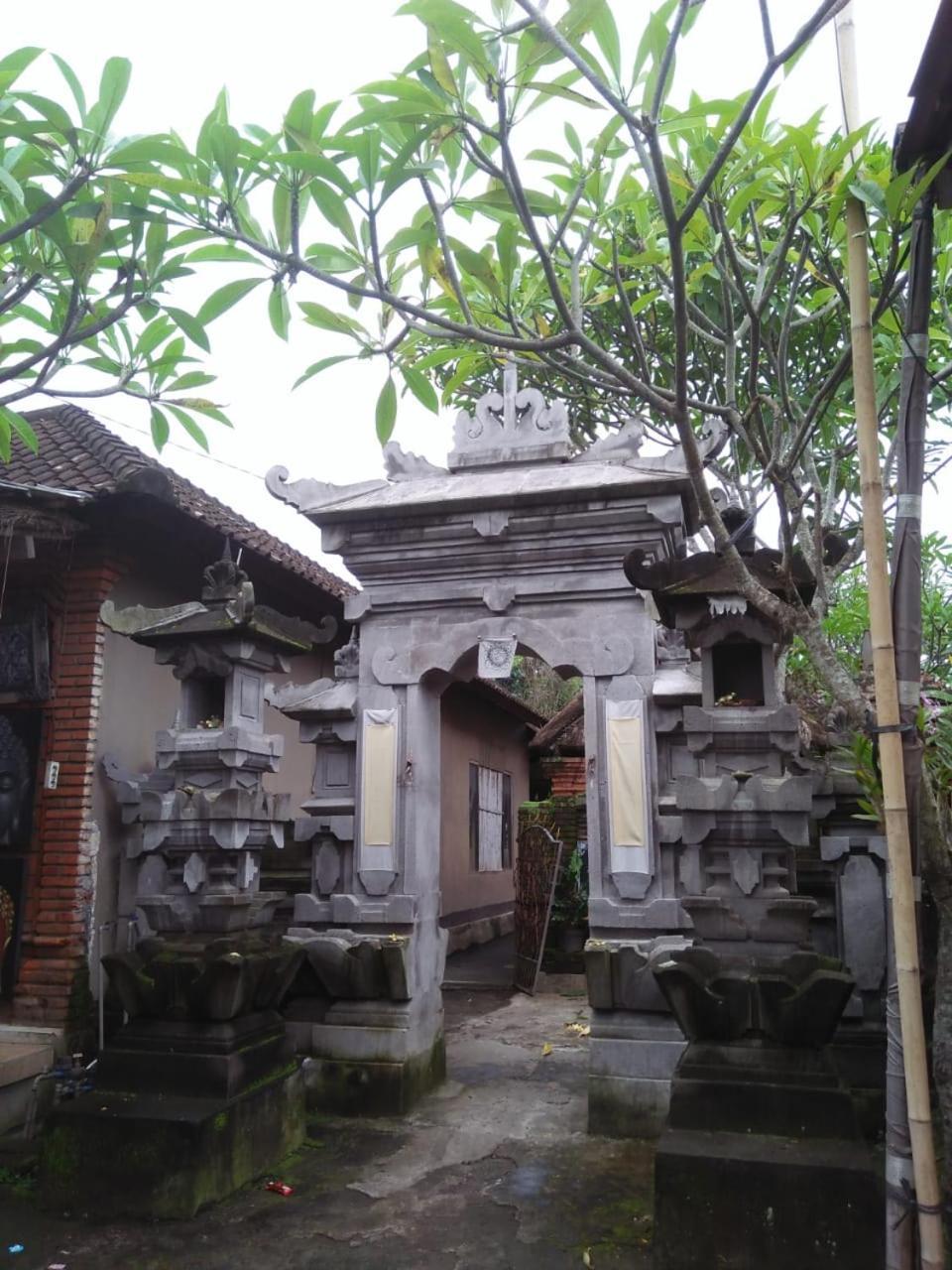 Lionk Bali House Bed & Breakfast Ubud  Exterior photo